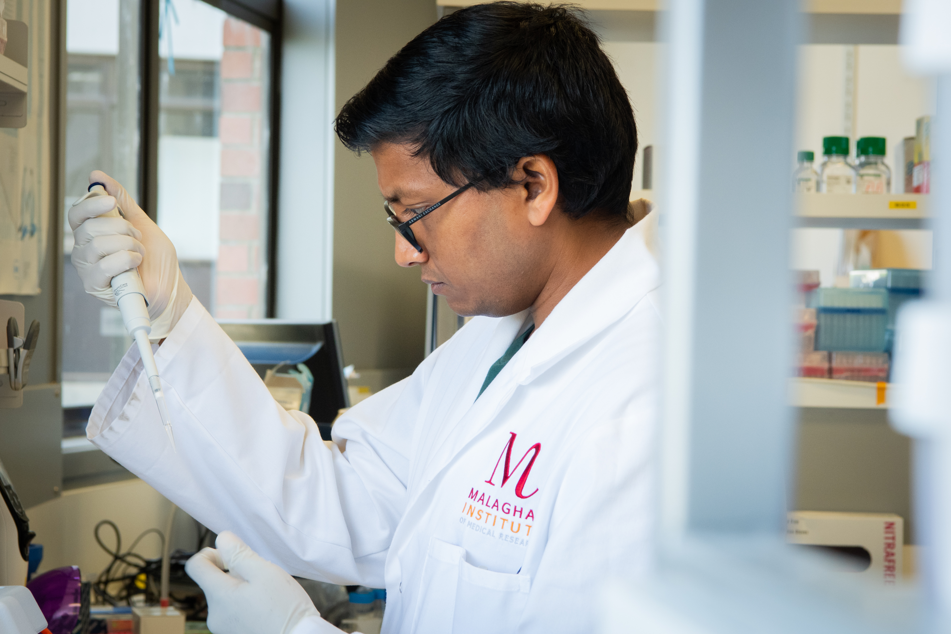 Research fellows