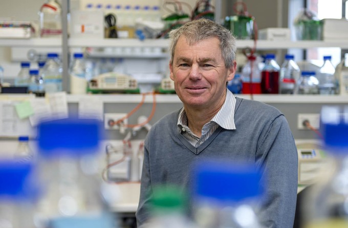 Royal Society honours Professor Graham Le Gros for leadership in science