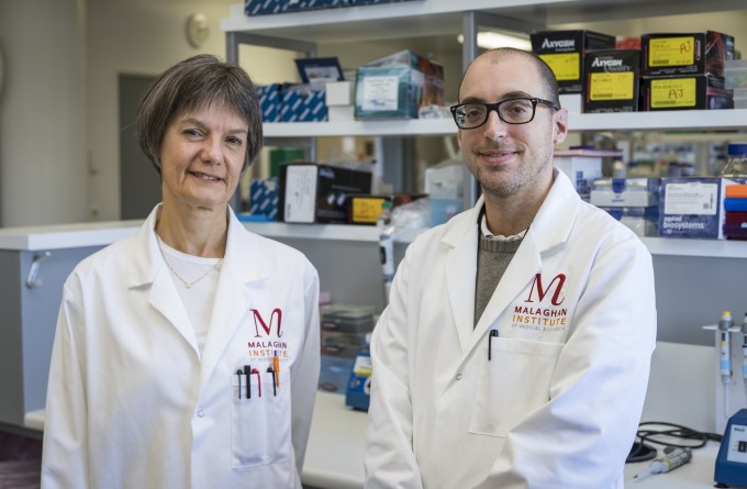 Tracking allergies to their source: new research offers insight into mechanisms priming the allergic response 