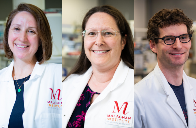 New funding supports cutting-edge research into immune cell metabolism
