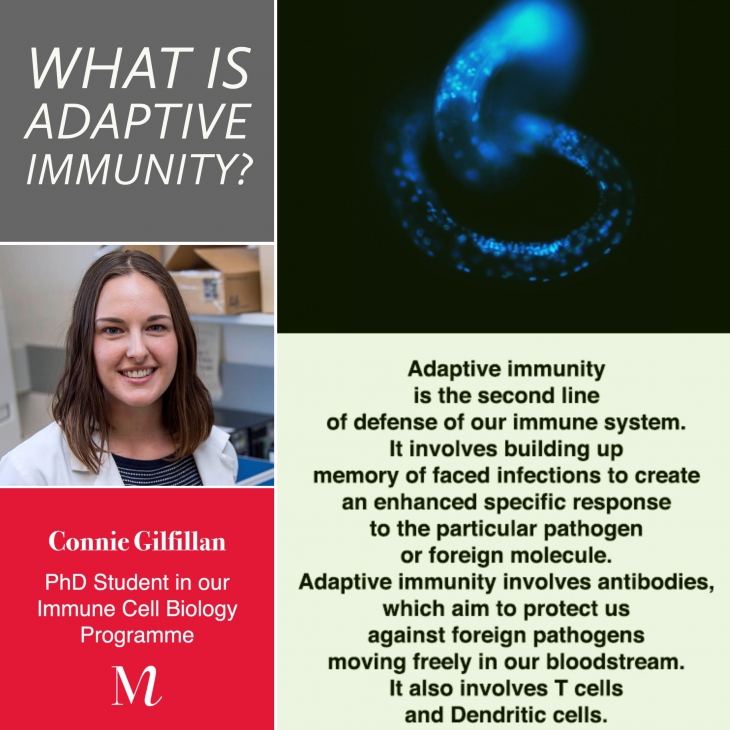 MIMR What is adaptive immunity