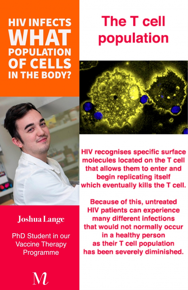 MIMR HIV infects T cells